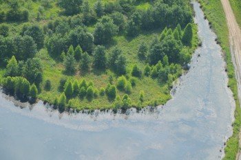 Property photo 44 - 1,025 Acres in 24 Tracts - Exellent Recreation Opportunity - Potential Building Sites - 11 Lakes & Ponds